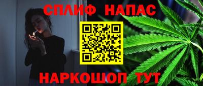 прущие крисы Гудермес