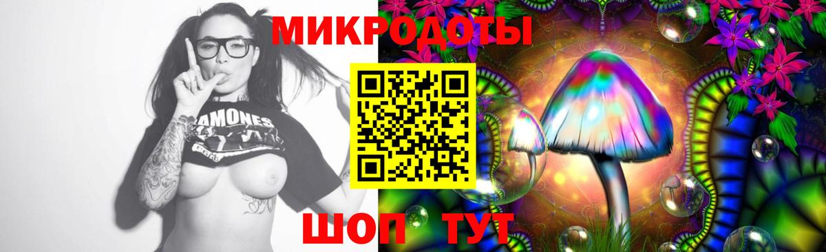 Псилоцибиновые грибы GOLDEN TEACHER Вичуга