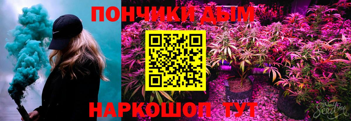 Шишки марихуана планчик Вичуга